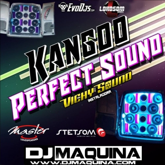 Kangoo Perfect Sound