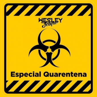CD especial 40tena - DJ Wesley Felipe