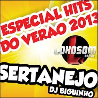 Hits Do Verão 2013 - Especial Sertanejo