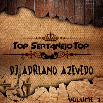 CD TOP SERTANEJO VOL 3