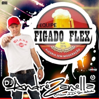 Figado Flex Volume 2