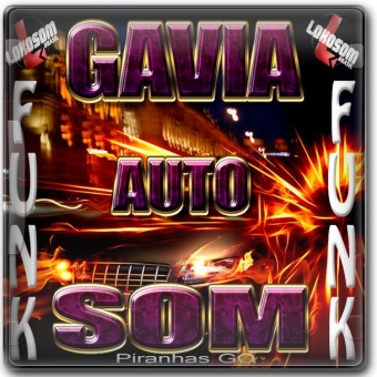 Gavia Auto Som Funk 2015