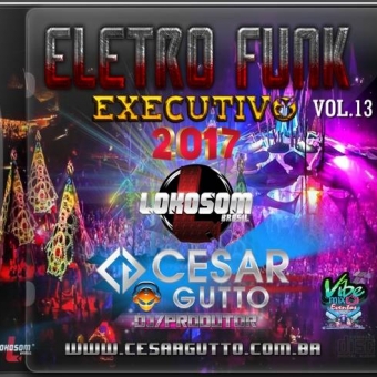 ELETRO FUNK EXECUTIVO VOL.13 2017