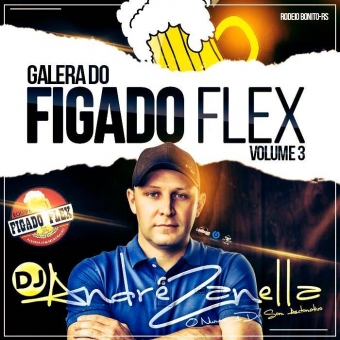 Galera Do Figado Flex Volume 3